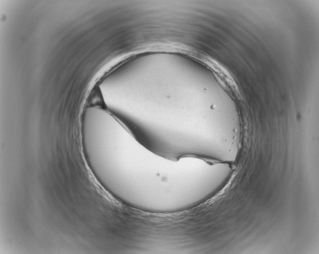 X0000087591192200705112255