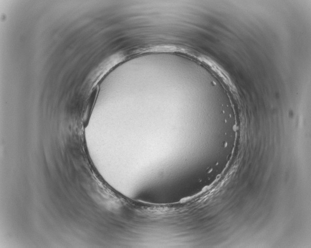 X0000087591193200705112255