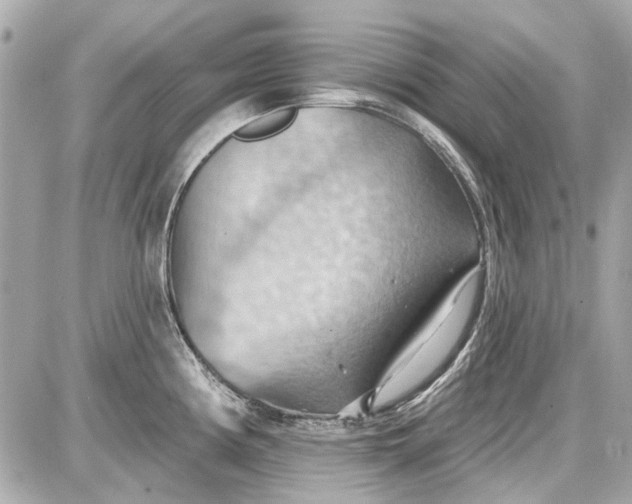 X0000087591194200705112255