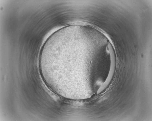 X0000087591195200705112255