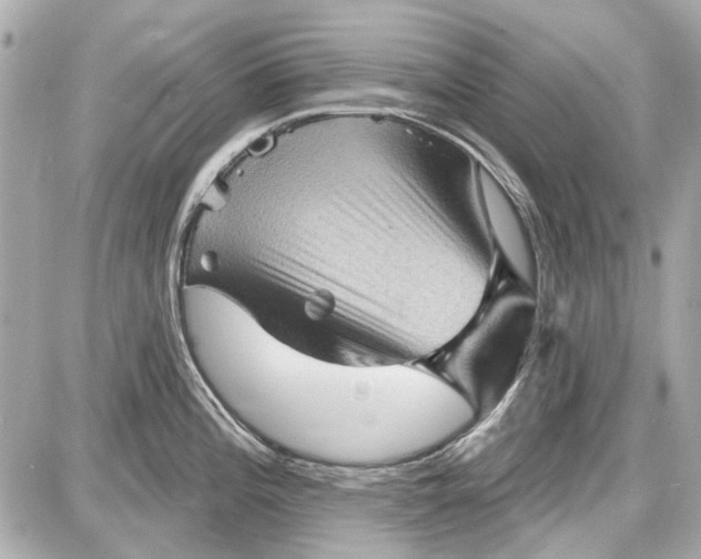 X0000087591196200705112255