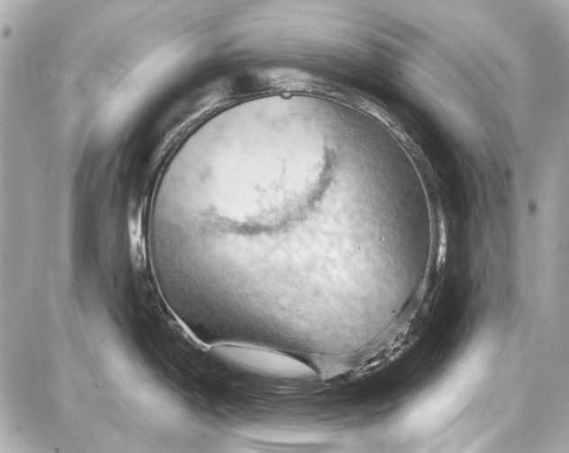 X0000087591198200705112255