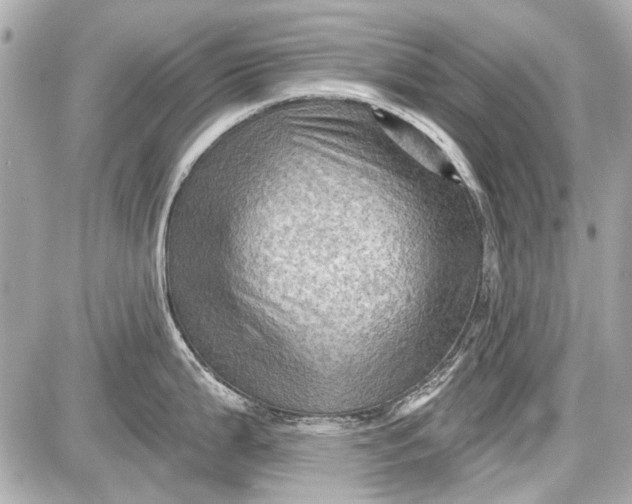 X0000087591199200705112255