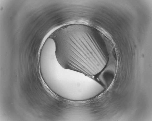 X0000087591200200705112255