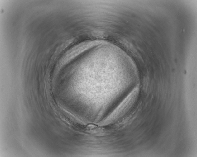 X0000087591201200705112254