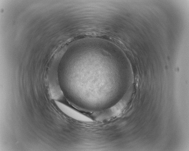 X0000087591202200705112254