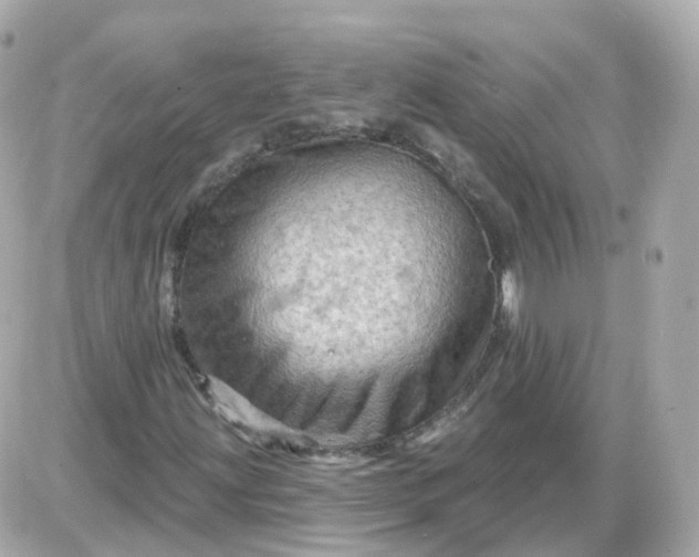 X0000087591203200705112254