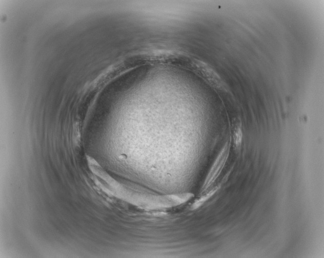 X0000087591204200705112254