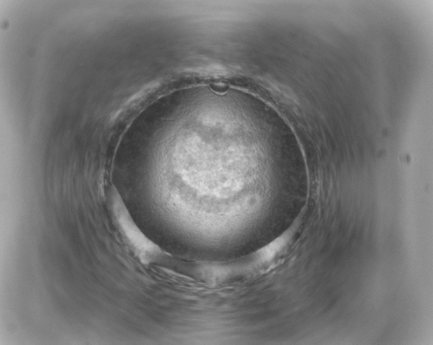 X0000087591205200705112254