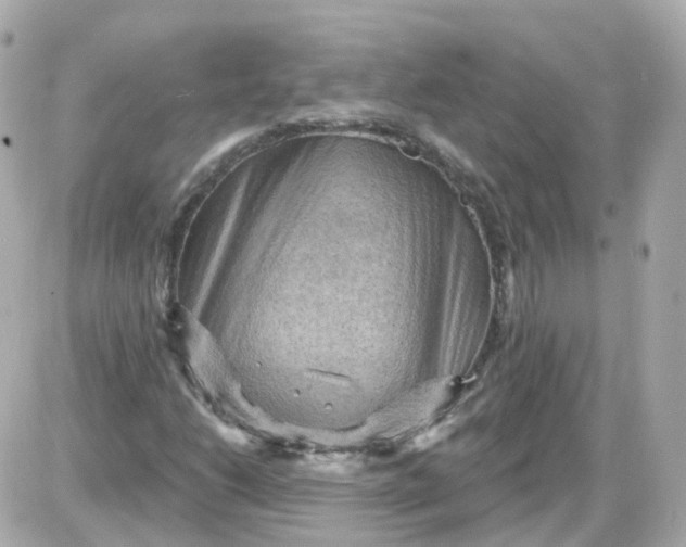 X0000087591206200705112254