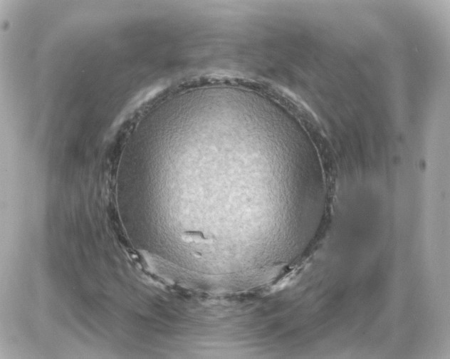 X0000087591207200705112254