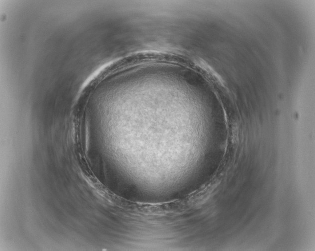 X0000087591208200705112254