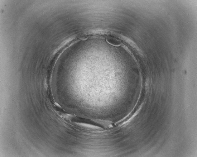 X0000087591209200705112254