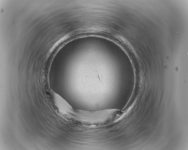 X0000087591210200705112254