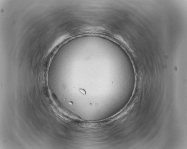 X0000087591211200705112255