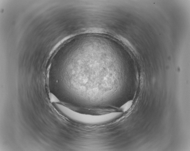 X0000087591212200705112255