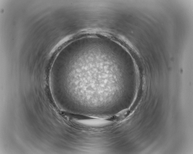 X0000087591213200705112255