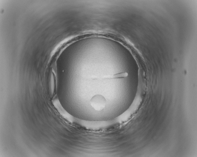 X0000087591214200705112255