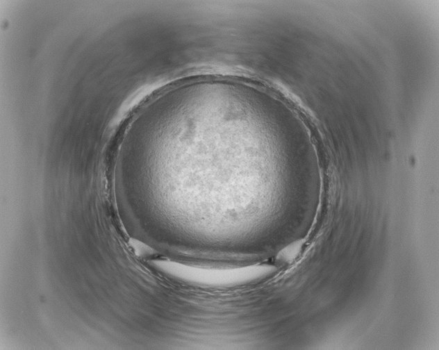 X0000087591215200705112255