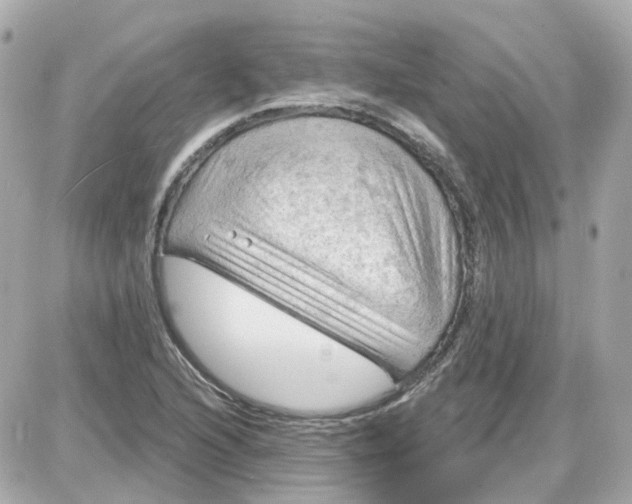 X0000087591216200705112255