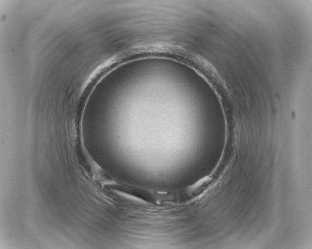 X0000087591218200705112255