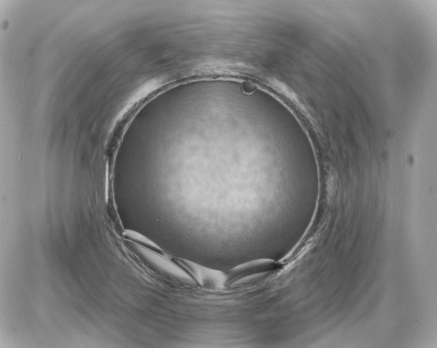 X0000087591219200705112255