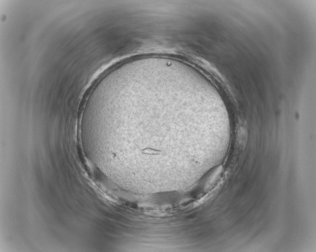 X0000087591220200705112255