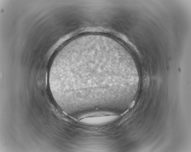 X0000087591221200705112255