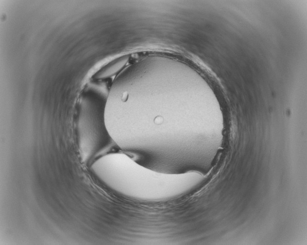 X0000087591222200705112255