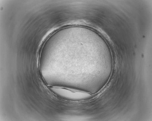 X0000087591224200705112255