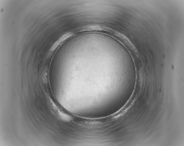 X0000087591225200705112255