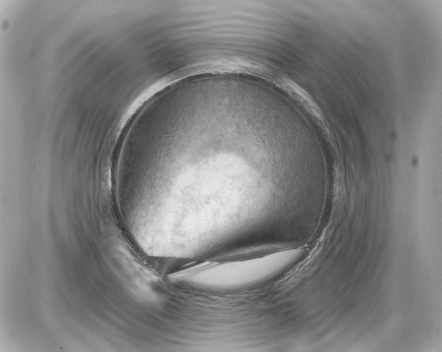 X0000087591226200705112255