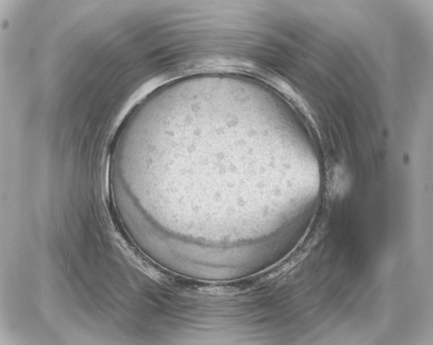 X0000087591227200705112255