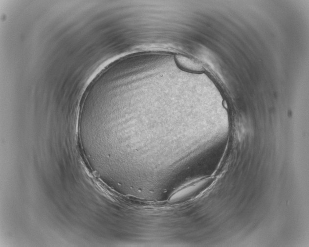 X0000087591228200705112255