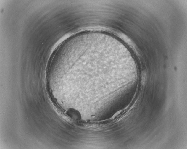 X0000087591229200705112255