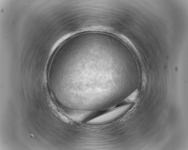 X0000087591230200705112255