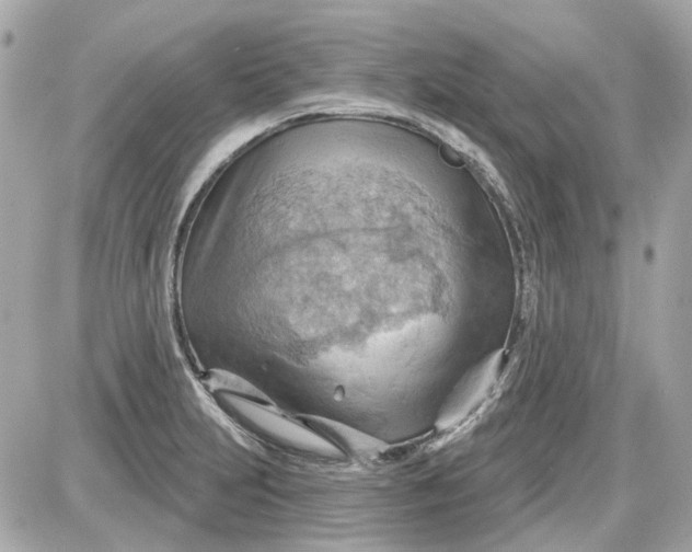 X0000087591231200705112255