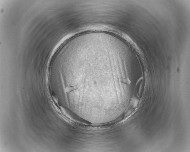 X0000087591232200705112255