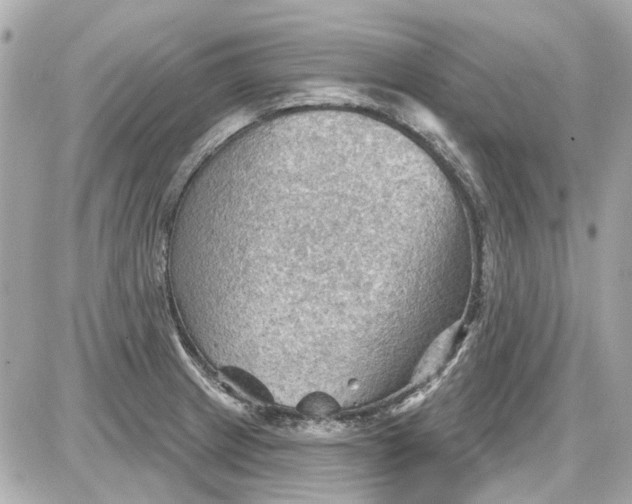 X0000087591233200705112255