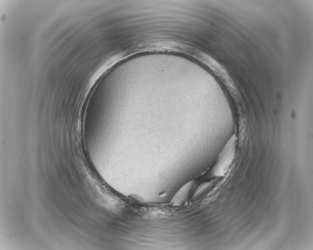 X0000087591234200705112255