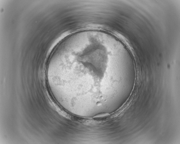 X0000087591235200705112255