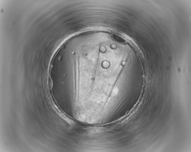 X0000087591236200705112255