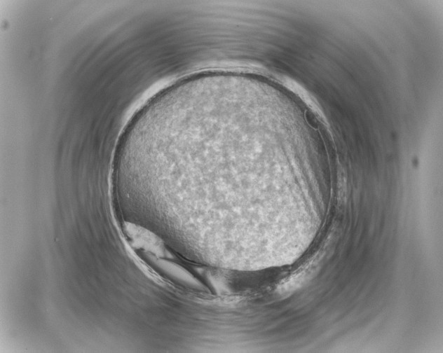 X0000087591237200705112255