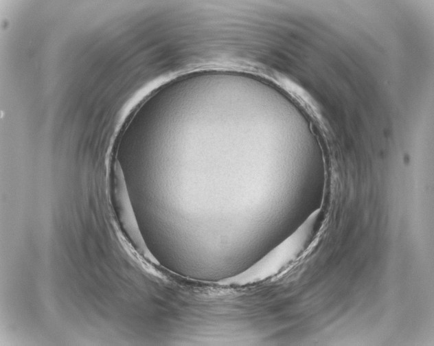 X0000087591238200705112255