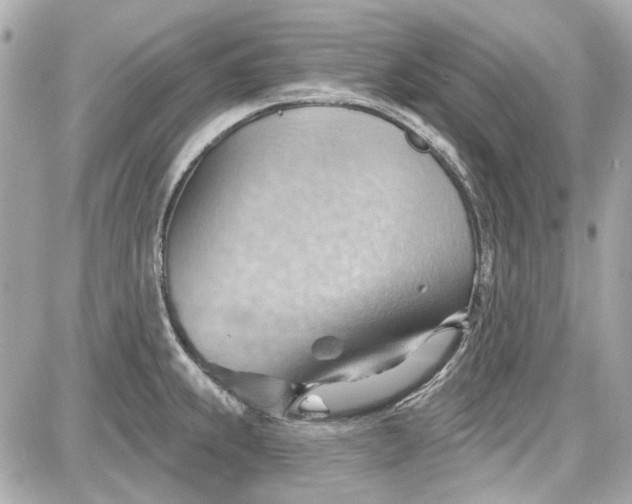 X0000087591239200705112255