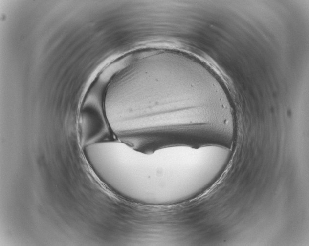 X0000087591240200705112255