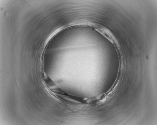 X0000087591242200705112255