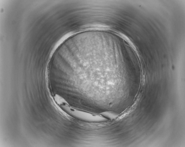 X0000087591243200705112255