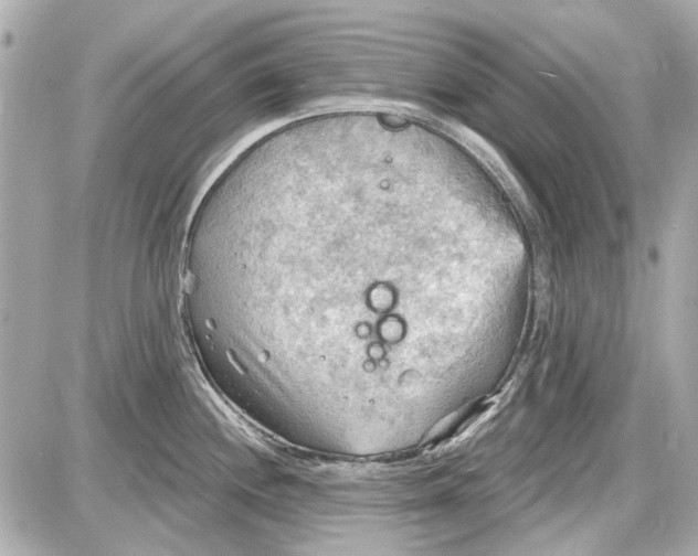 X0000087591244200705112255