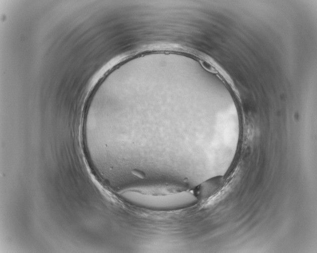 X0000087591245200705112255